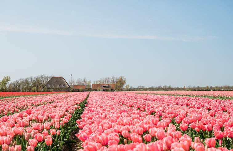 Natuurhuisje in Burgerbrug