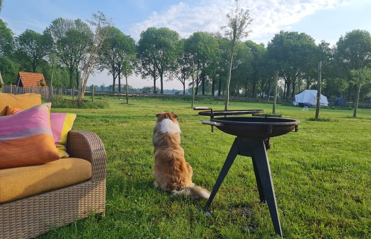 Natuurhuisje in Erp