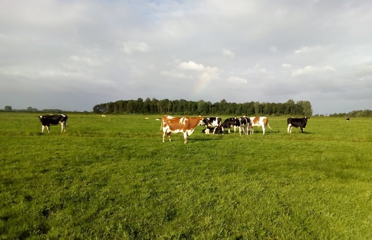 Natuurhuisje in Streefkerk