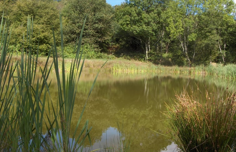 Natuurhuisje in Fachin