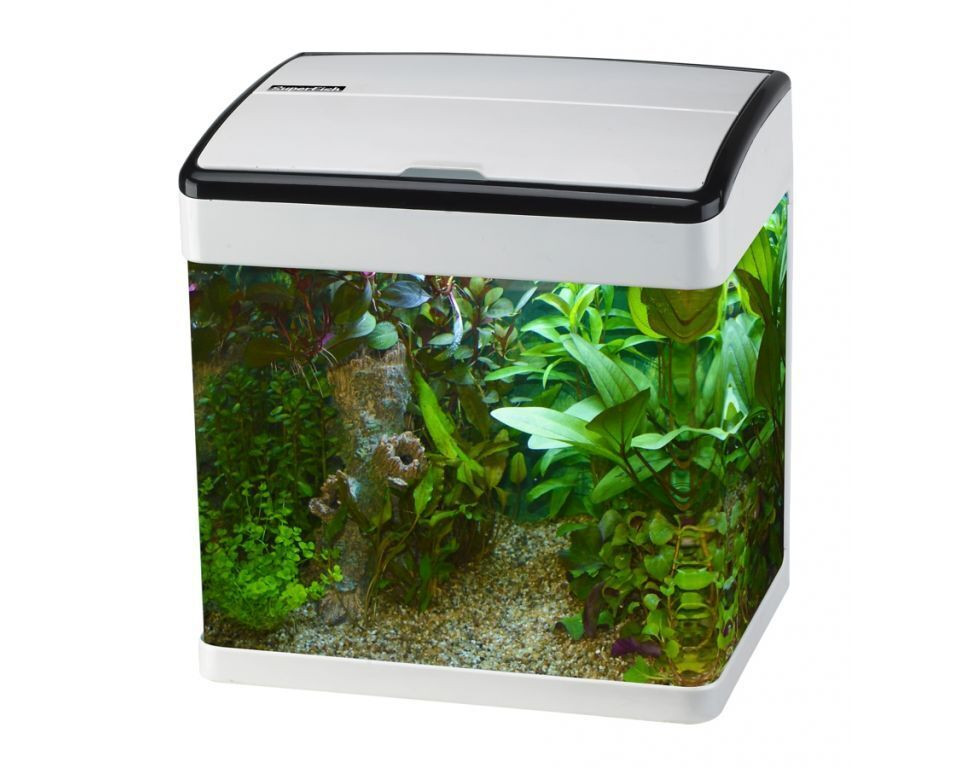 Superfish Panorama 35 Wit Aquarium - 35L LED, Gebogen Glas, 2jr Garantie