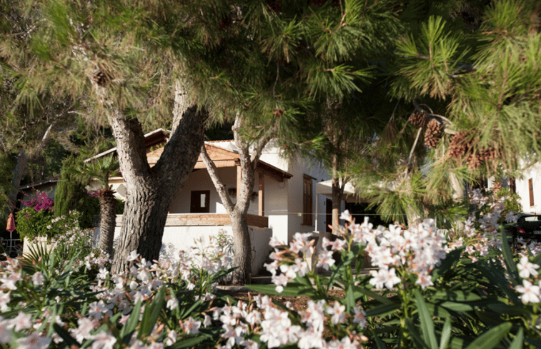 Natuurhuisje in CUSTONACI -Riserva Naturale O. di Monte Cofano