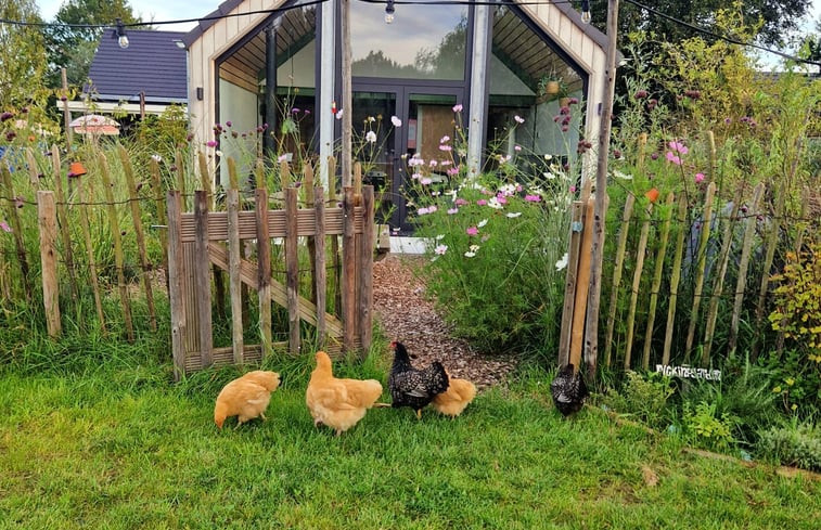 Natuurhuisje in Schijndel