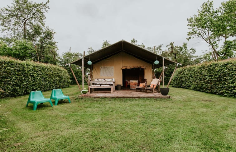 Natuurhuisje in Delfstrahuizen