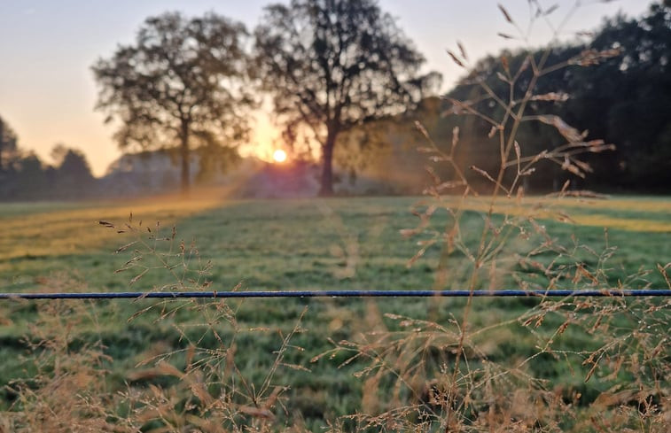 Natuurhuisje in Putten