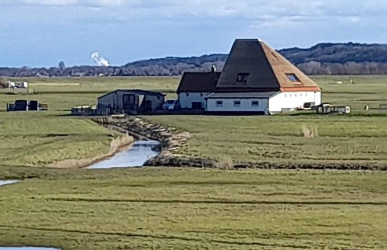 Natuurhuisje in Schoorl