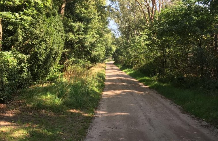 Natuurhuisje in Emst