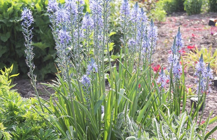 Natuurhuisje in Ritthem