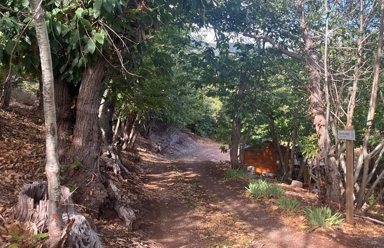 Natuurhuisje in Pedro Alvarez, Tegueste