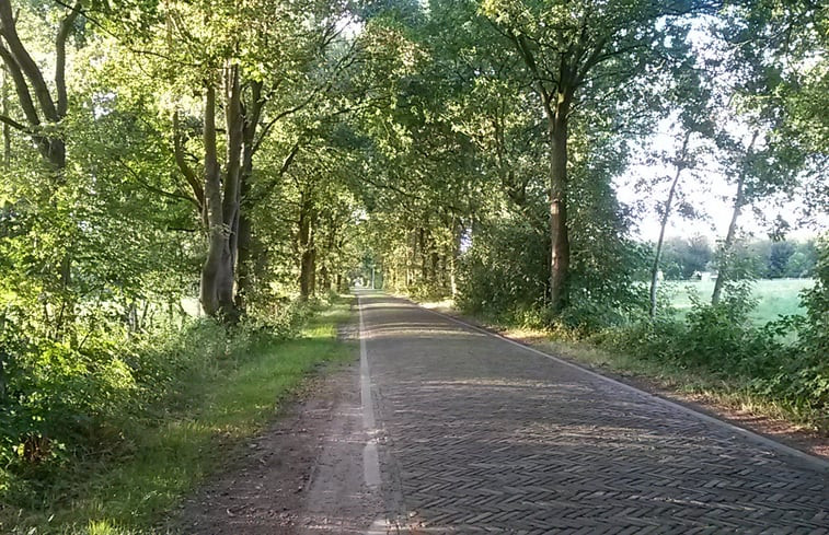 Natuurhuisje in Burgum