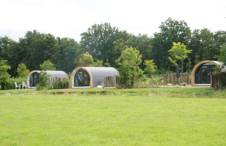 Natuurhuisje in Dalerveen