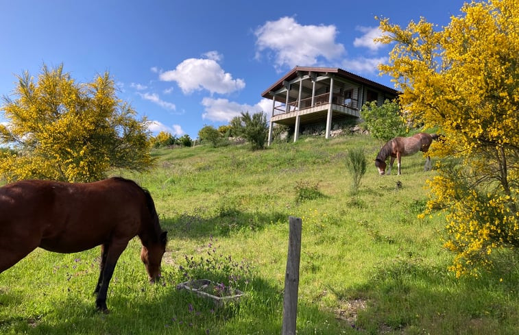 Natuurhuisje in Cabeceiras de Basto