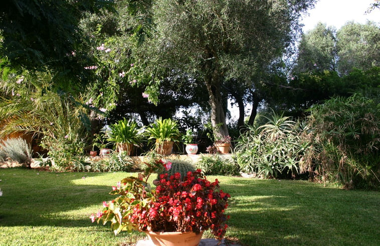 Natuurhuisje in La Muela, Vejer de la Frontera