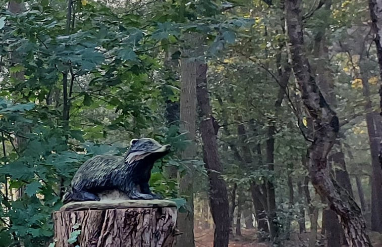 Natuurhuisje in Loosbroek