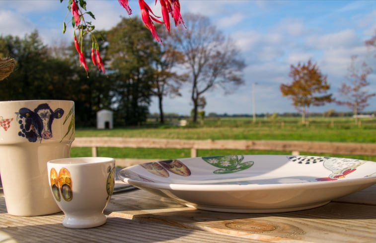 Natuurhuisje in Coevorden