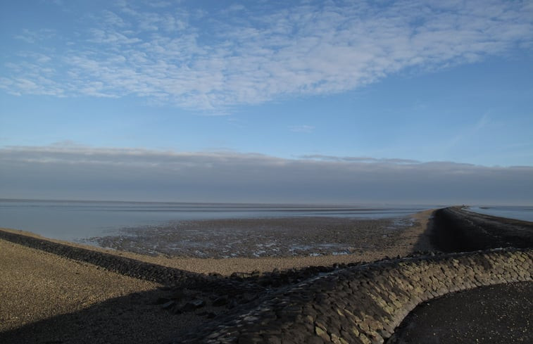 Natuurhuisje in Moddergat