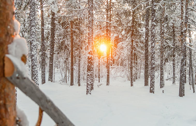 Natuurhuisje in Kätkäsuvanto