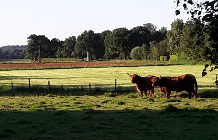 Natuurhuisje in Ruurlo