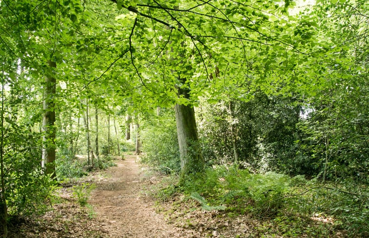 Natuurhuisje in Winterswijk Woold