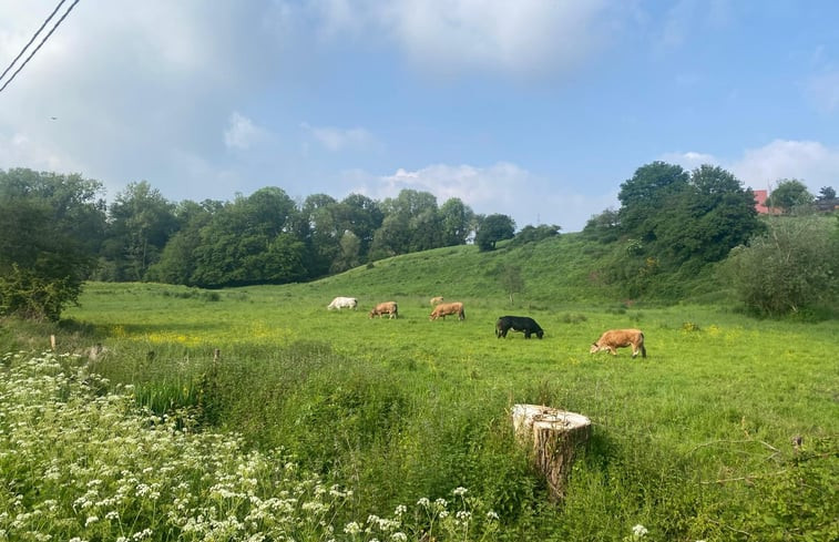 Natuurhuisje in Ronquières