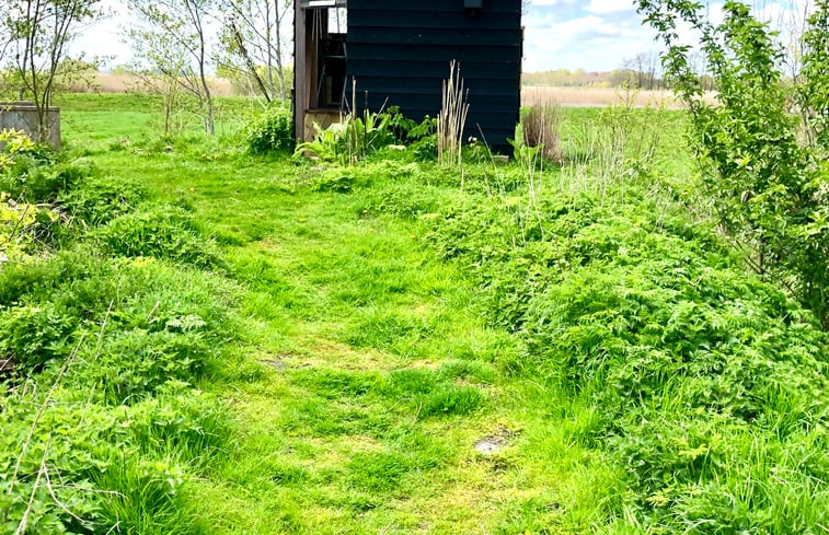 Natuurhuisje in Ryptsjerk