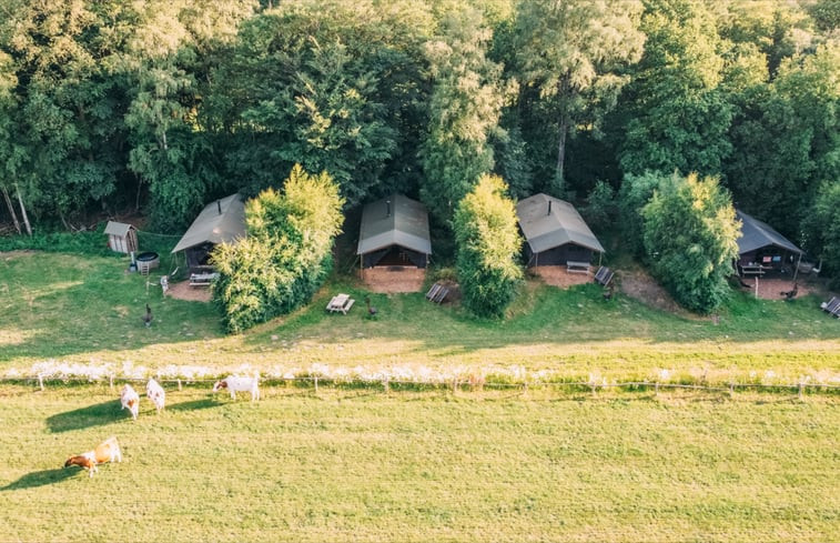 Natuurhuisje in Ermelo