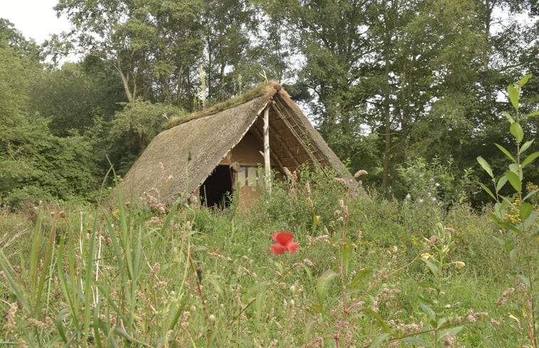 Natuurhuisje in Drouwenerveen