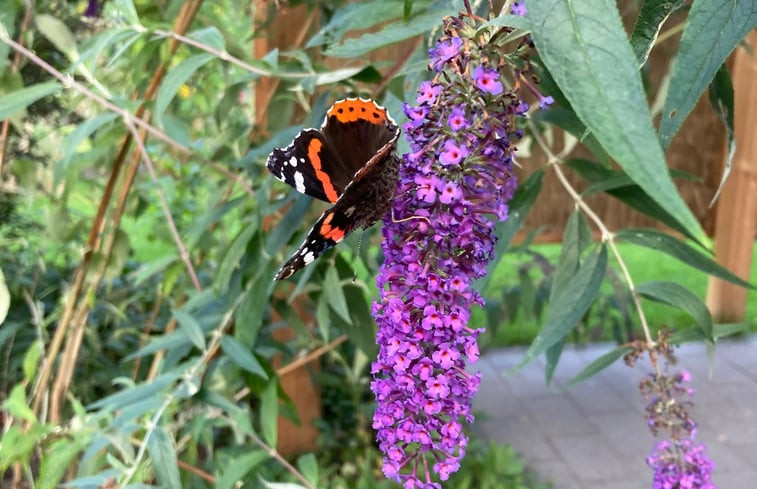 Natuurhuisje in Laren