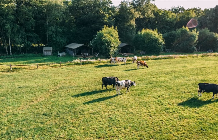 Natuurhuisje in Ermelo