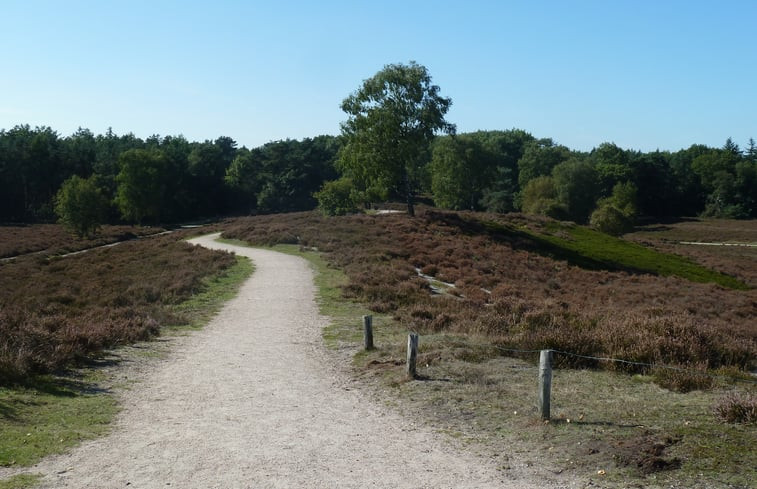 Natuurhuisje in Epe