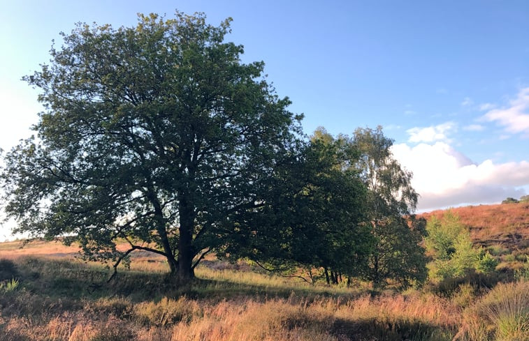 Natuurhuisje in Mook