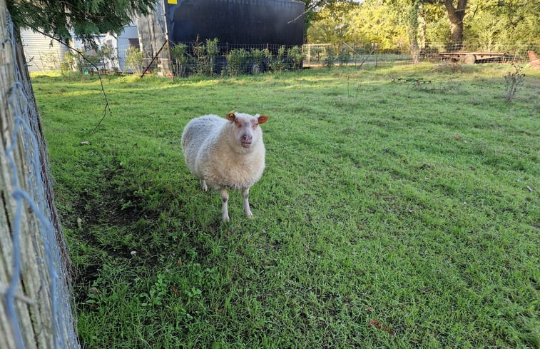 Natuurhuisje in Peyrole