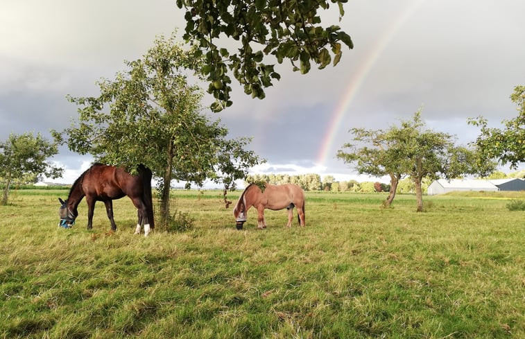 Natuurhuisje in Hem