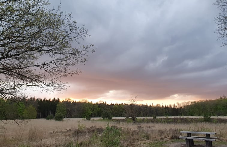 Natuurhuisje in Schoonloo