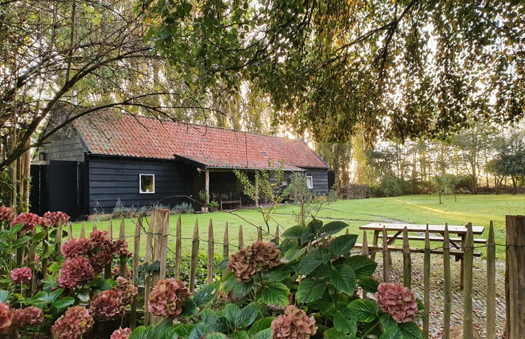 Natuurhuisje in Kerkwerve