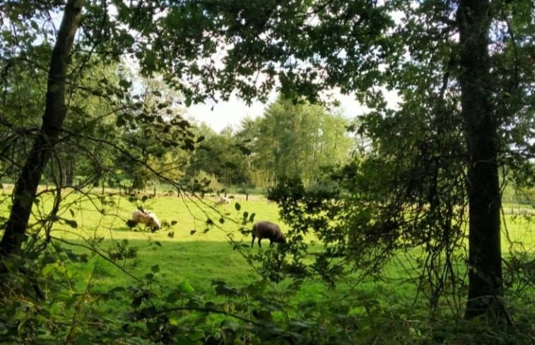 Natuurhuisje in Kollumerzwaag