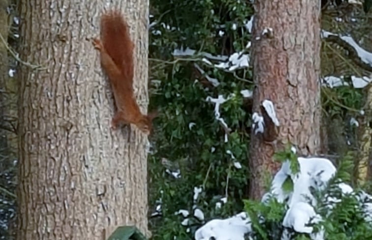 Natuurhuisje in Oosterhesselen