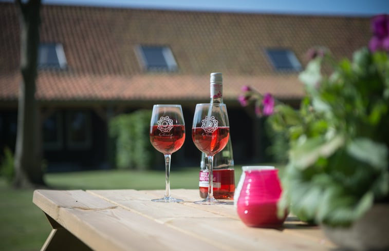 Natuurhuisje in Noordwelle, nabij Renesse