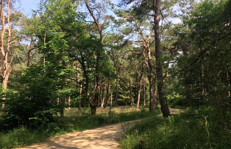 Natuurhuisje in Norg