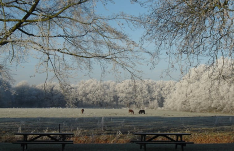 Natuurhuisje in Veenhuizen