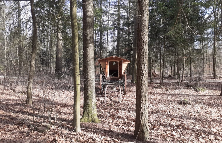 Natuurhuisje in Papenvoort