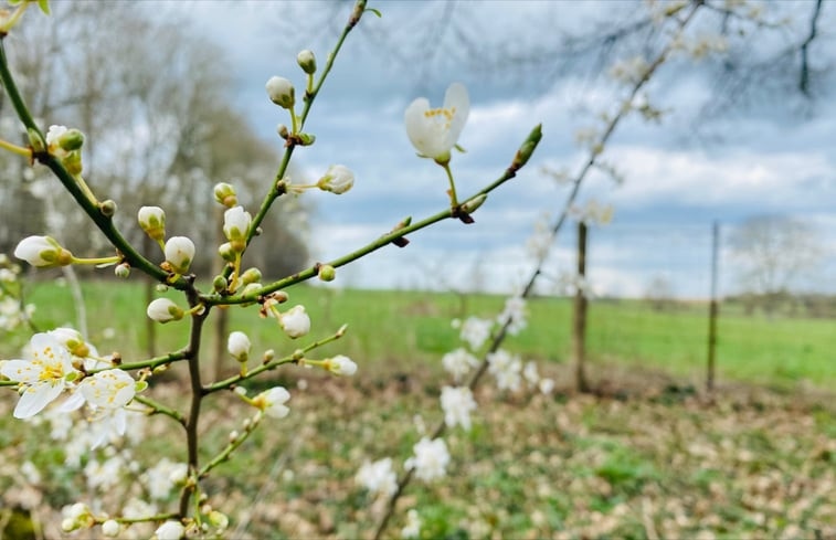 Natuurhuisje in Landouzy-la-Cour