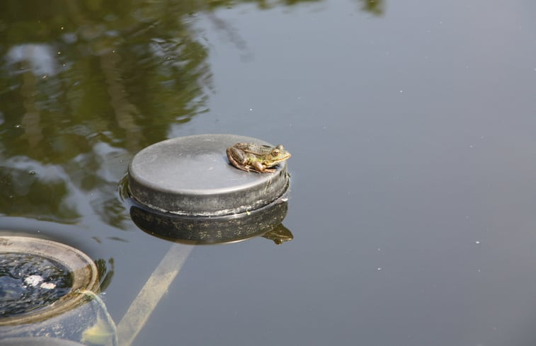 Natuurhuisje in Hombourg Plombières