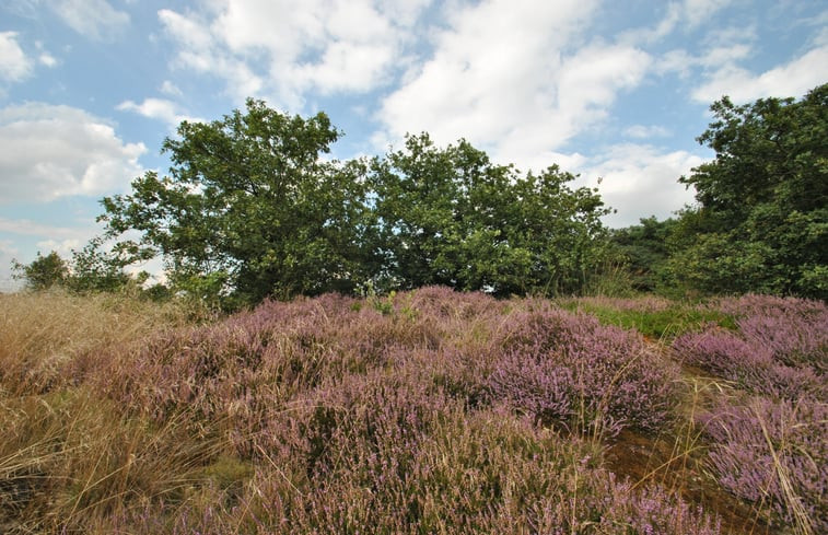 Natuurhuisje in Ruinen