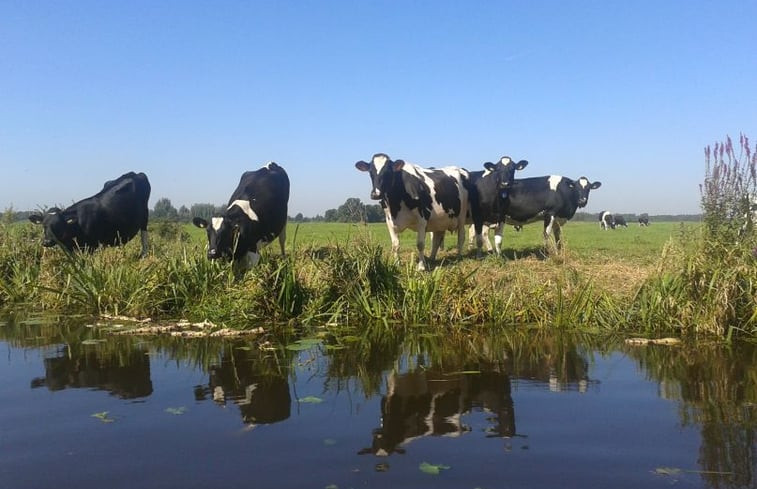 Natuurhuisje in Aarlanderveen