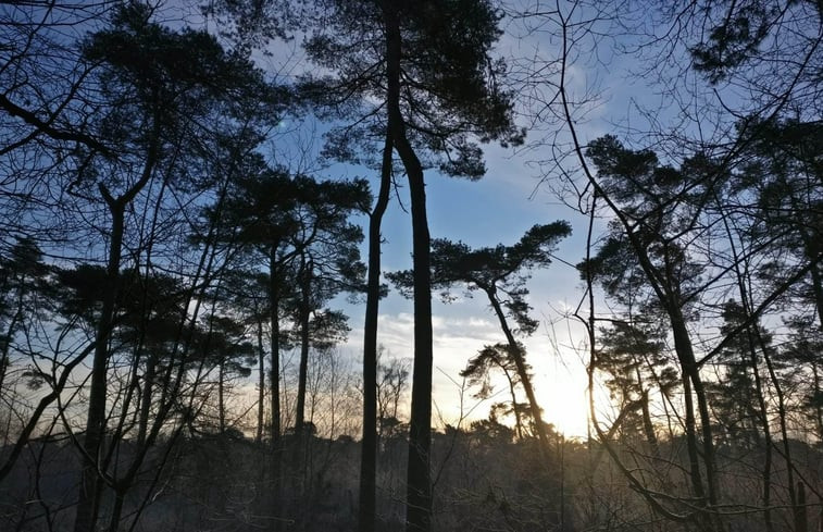 Natuurhuisje in Sint-Oedenrode