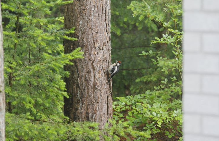 Natuurhuisje in Epe