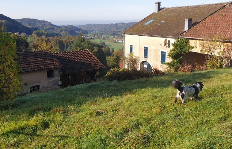 Natuurhuisje in Le Val d&apos;Ajol