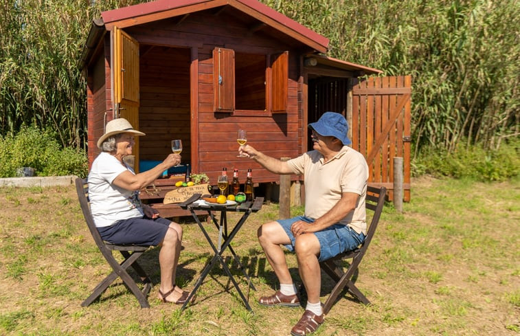 Natuurhuisje in Valadares, Vila Nova Gaia