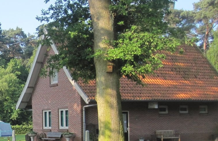 Natuurhuisje in Bornerbroek